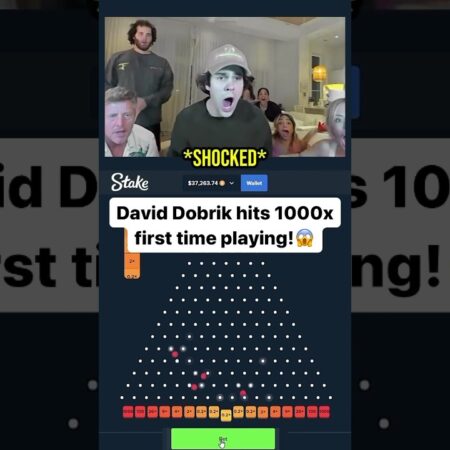 From $10 to $30,000 in 5 Seconds: Plinko Challenge!