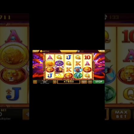 Scatter 5 ခု မမြင်ရင် အောင်မြင်မှုဝင်ဖို့ ကြိုးစားကြစို့! 😎 #slot #baffalo #casino #casinogames