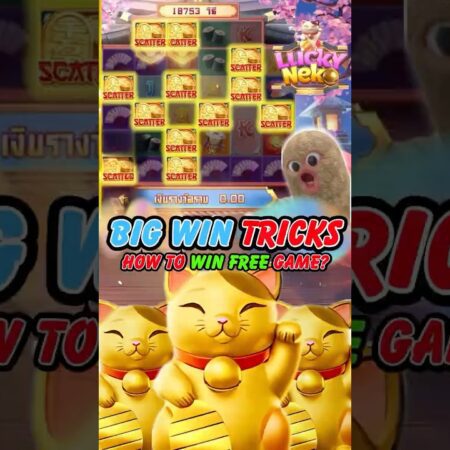 🎰 Lucky Neko Slot by PG Soft #1 India Online Casino for Real Cash Wins!-“Lucky Neko Slot by PG Soft: Top India Online Casino for Real Cash Wins!”