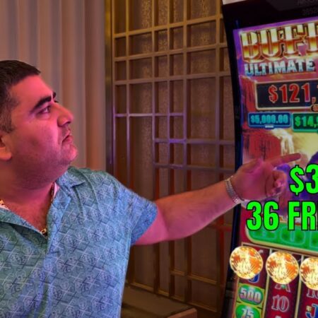 $300 SPINS & 36 FREE GAMES On HIGH LIMIT BUFFALO Slot 🦬🔥-“$300 SPINS & 36 FREE GAMES on High Limit Buffalo Slot 🦬🔥”
