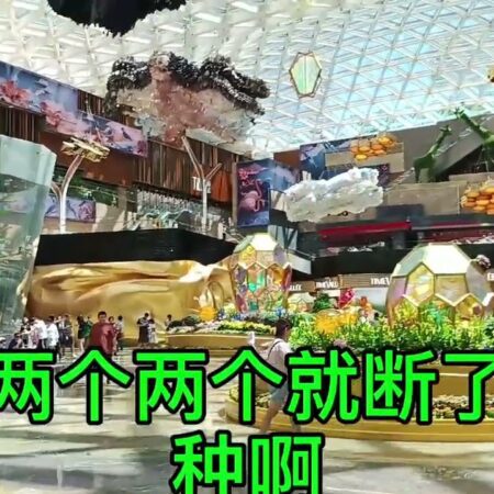 应粉丝提议给大家介绍一下我的百家乐打法，适合个人职业化。另外再给大家介绍一下适合团队职业化的云南蒋总和贵州小陈的方法，大家根据自己的情况和资源谨慎选择，不追求暴利，只求不断有进步…-
个人百家乐打法分享：职业化路径与进步策略
团队职业化方法：云南蒋总与贵州小陈的百家乐技巧
理性百家乐策略：个人与团队化的成功之道
职业化百家乐打法：个人与团队资源的最佳选择
不断进步的百家乐玩法：适合个人与团队的策略探索
