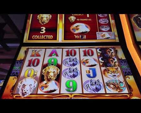 【游戏日记】Buffalo Gold Revolution老虎机游戏初体验，第一次玩就碰到免费游戏Bonus Games！-Buffalo Gold Revolution老虎机游戏首次体验：轻松触发免费游戏Bonus Games