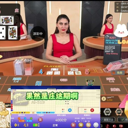 百家乐预测分析，百家乐最强打法-百家乐预测分析与最强打法的极致指南