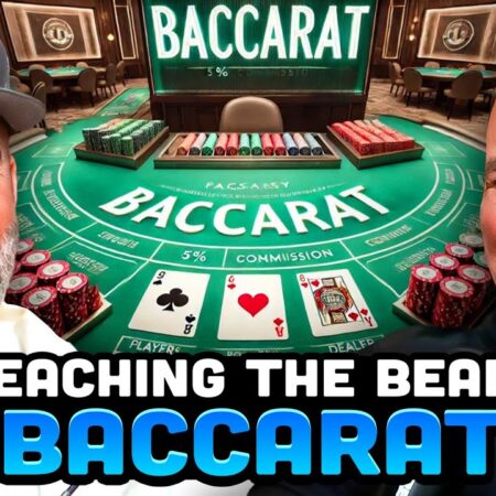 Dana White Teaches Baccarat To The Bears | 2 Bears, 1 Cave Highlight-“Dana White Teaches Baccarat to the Bears | 2 Bears, 1 Cave Highlights”