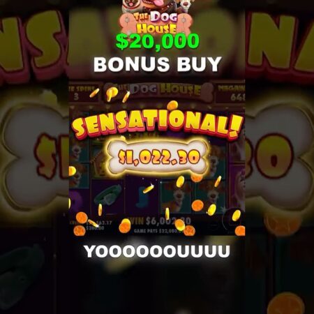 I Did a $20,000 Bonus Buy on Dog House Megaways and IT PAID!-“$20,000 Bonus Buy on Dog House Megaways: Big Wins Revealed!”