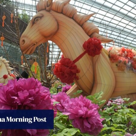 馬來西亞柔佛州的企業為新加坡人的農曆新年購物狂歡做準備