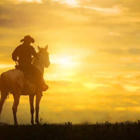 Las Vegas Sands Keeps Pouring Millions Into Texas Politics-“Las Vegas Sands Invests Millions in Texas Political Landscape”