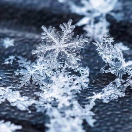 Gulf-effect snow in Florida — Is it possible?-“Gulf-Effect Snow in Florida: Is It Possible?”