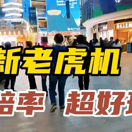 【云顶系列】又有最新BINGO老虎机！煊焕的免费游戏让人目不暇给，好玩！-云顶系列最新BINGO老虎机，煊焕免费游戏乐趣无穷！