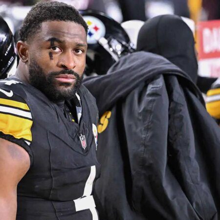 DK Metcalf sued by Lions fan involved in viral altercation-“DK Metcalf Sued by Lions Fan Over Viral Altercation”