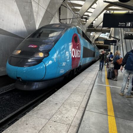 Lyon. La voyageuse “malade” du TGV fait vivre l’enfer aux contrôleurs, la justice s’en mêle-“TGV Lyon: La Voyageuse Malade Provoque Chaos et Intervention Judiciaire”