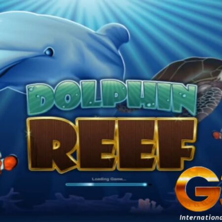 Famous Malaysia Online Slot Game – DOLPHIN REEF-“Play Dolphin Reef: The Popular Online Slot Game in Malaysia”