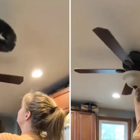 房主透露了冬季節省取暖費的絕招：“很高興知道”