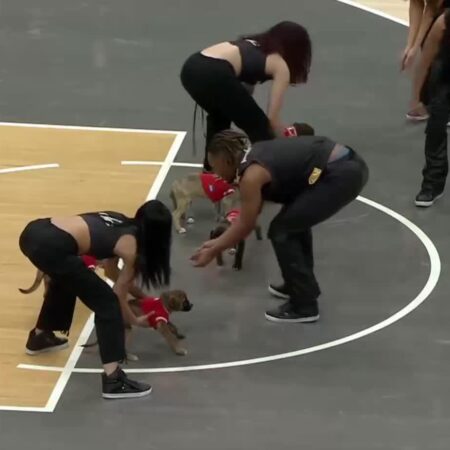 [Highlight] The Wizards Puppy racing half time goes disastrously yet has an incredible ending as 𝐁𝐚𝐫𝐤 𝐂𝐚𝐫𝐫𝐢𝐧𝐠𝐭𝐨𝐧 makes the insane comeback to win-Wizards Puppy Racing: Bark Carrington’s Incredible Comeback Victory